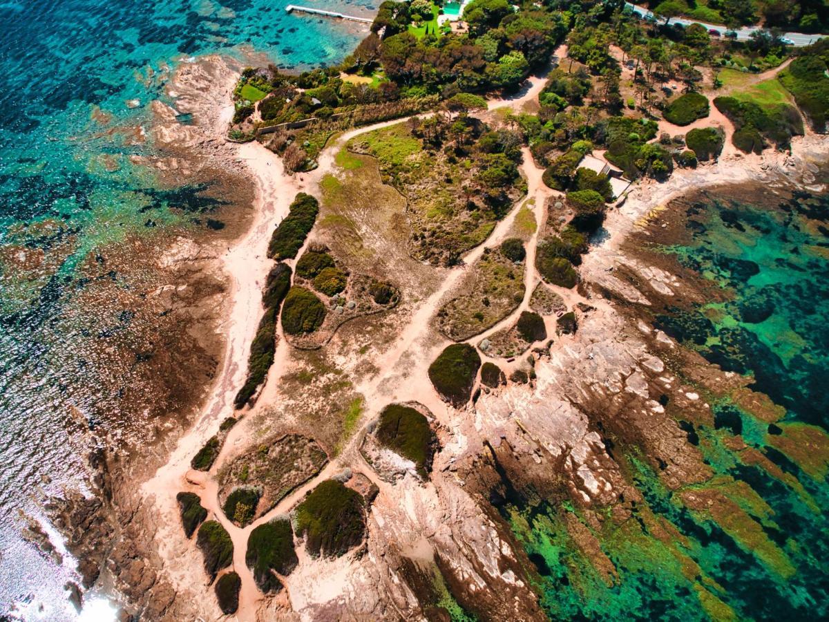 Hotel Les Palmiers Sainte-Maxime Dış mekan fotoğraf
