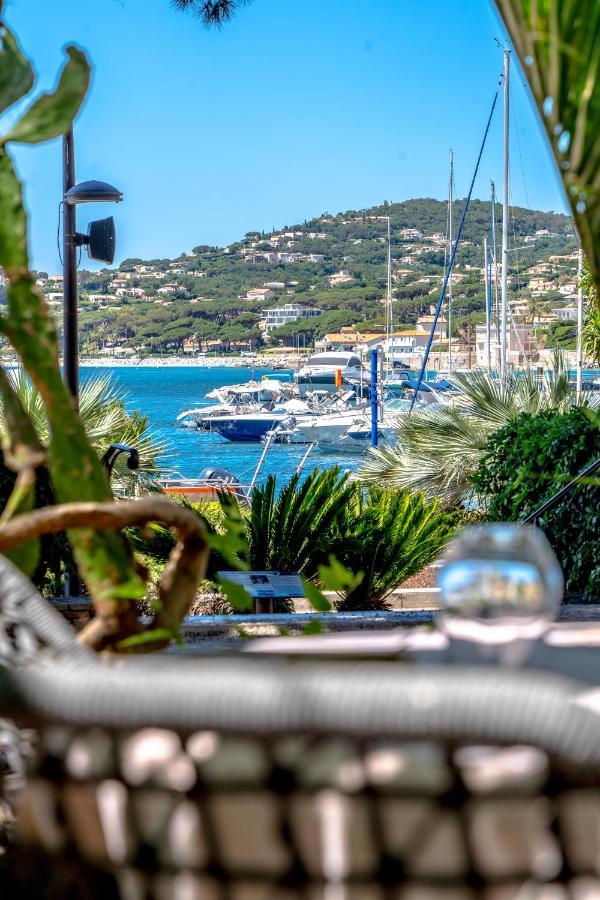 Hotel Les Palmiers Sainte-Maxime Dış mekan fotoğraf